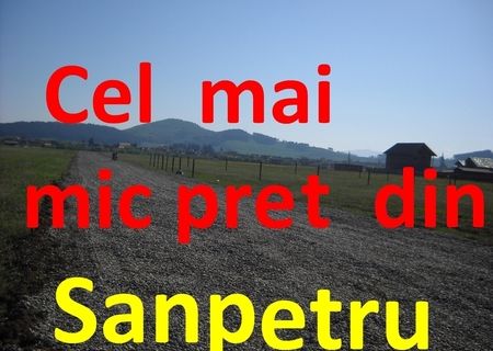 450mp Intravilan la 5000 EURO SANPETRU