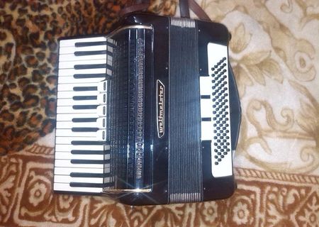 acordeon weltmeister