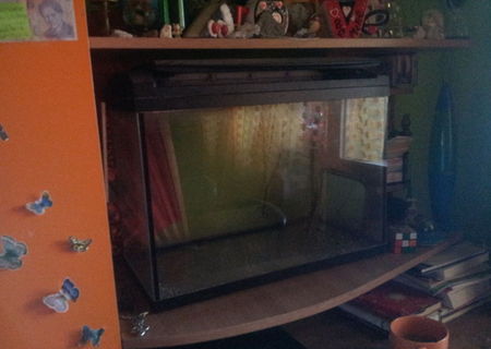 ACVARIU 60 l + neon + filtru, pret negociabil