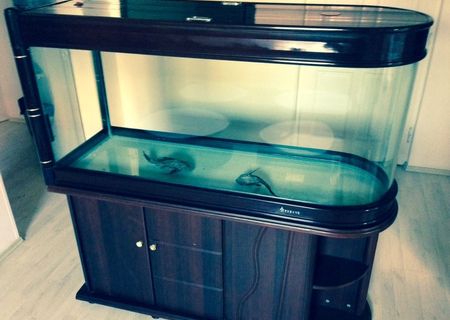 acvariu deosebit 380l acvariu deosebit 380l