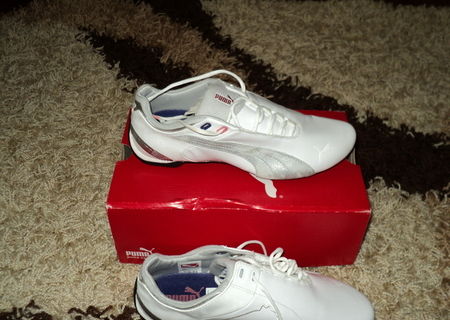ADIDASI PUMA