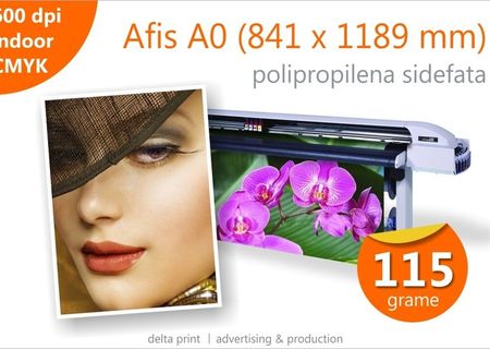 Afise A0 - 29 lei Print indoor pe polipropilena sidefata 115g