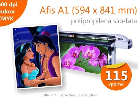 Afise A1 - 15 lei Print indoor pe polipropilena sidefata 115g