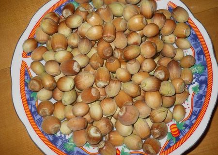 alune de padure romanesti