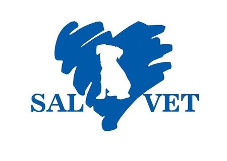 Ambulanta Veterinara Non/Stop-Servicii Veterinare la Domiciliu Ambulanta Veterinara Non/Stop-Servicii Veterinare la Domiciliu