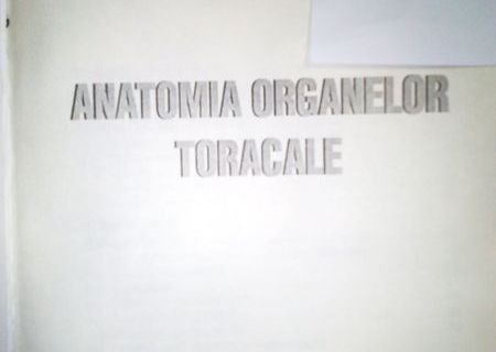 Anatomia organelor toracale , Prof. Dr. Cezar Niculescu , 1997