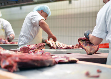 Angajam transatori la pulpa de porc Angajam transatori la pulpa de porc