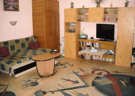 Ap 2 camere Berthelot (Cismigiu