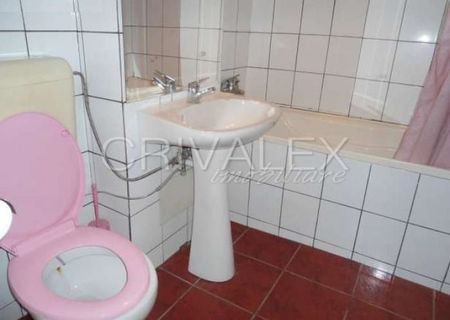 AP 3 CAMERE TINERETULUI