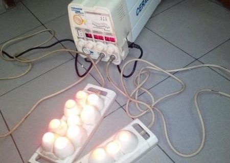 Aparat medical de termomasaj