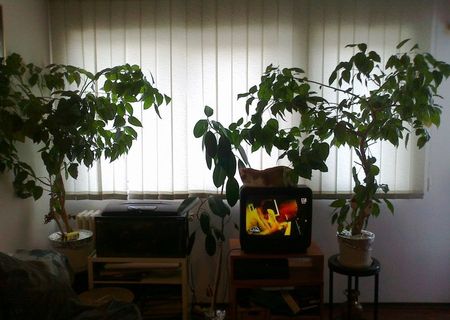 apartament 2 camere, Gorjului, Militari