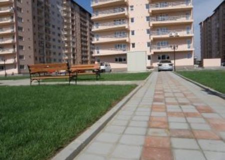 Apartament 3 camere