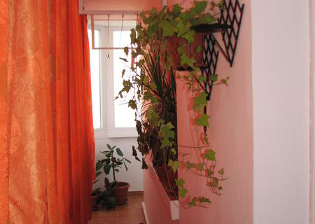 APARTAMENT 3 CAMERE BRANCOVEANU