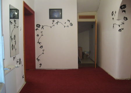 Apartament ultracentral pt sediu firmă