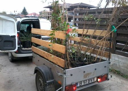 Asigur transport volume mici
