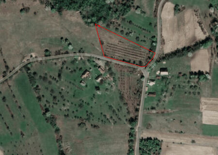 Berinta, teren intravilan, 5800 mp