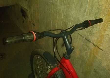 bicicleta dama