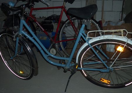 Bicicleta dama Pegasus