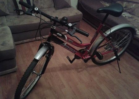 BICICLETA DAMA RICH