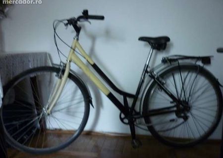 bICICLETA DAMA Top Bike
