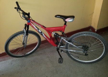 Bicicleta DHS