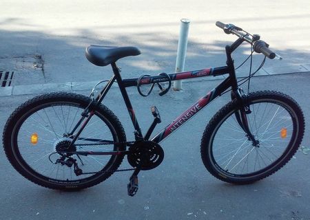 Bicicleta Intensive
