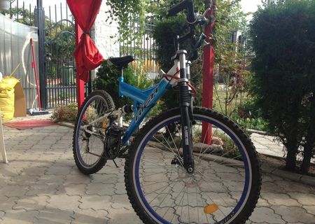Bicicleta RICH