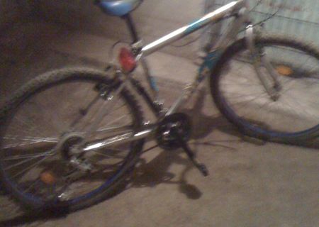 Bicicleta Rich