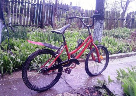 Bicicleta roti 20'