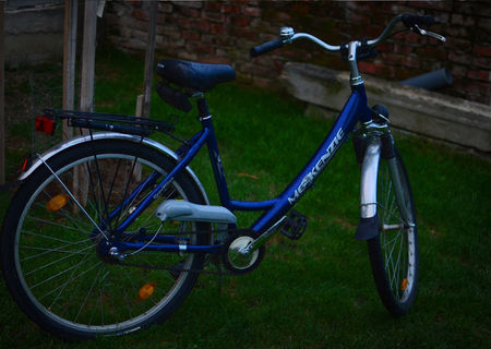 Biciclete import