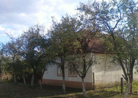 Biled Casa cu gradina 1000 mp