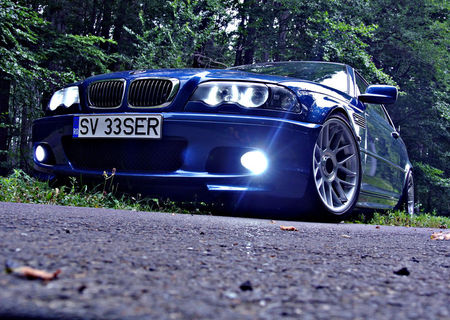 bmw e46 hamman