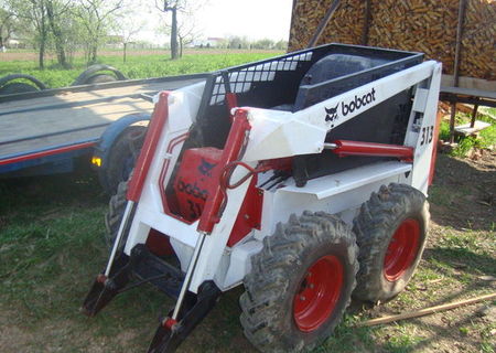 bobcat 313 cu cupa