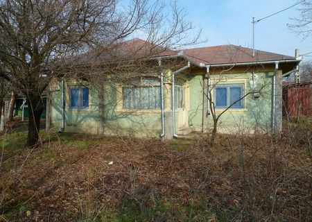 BONUS ! Vand casa caramida cu teren intravilan 4570 mp (1000 mp vie) in Draganesti de Vede-Teleorman, ideal pentru apicultori, la 300 m de padure de tei, BONUS 5.000 mp teren arabil extravilan