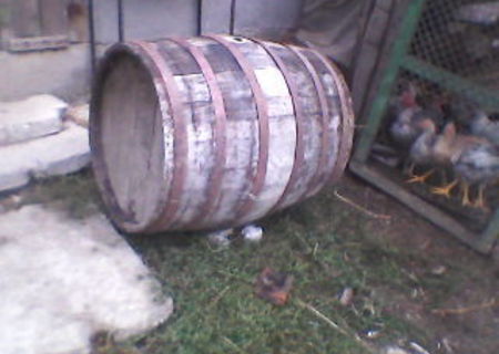 butoi de vin