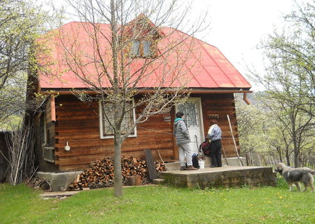 Cabana de vanzare