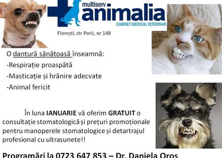 Cabinet veterinar Multiserv Animalia Floresti