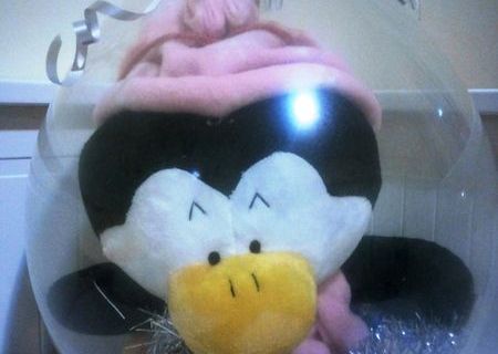 Cadouri de MOS la numai 48 lei