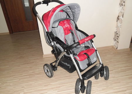 Carucior DHS Carucior DHS