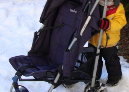 Carucior Inglesina Trip