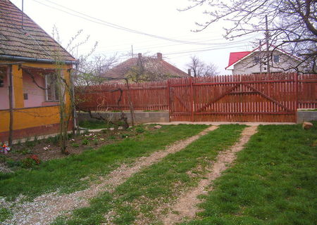 CAS CU 3 CAMERE