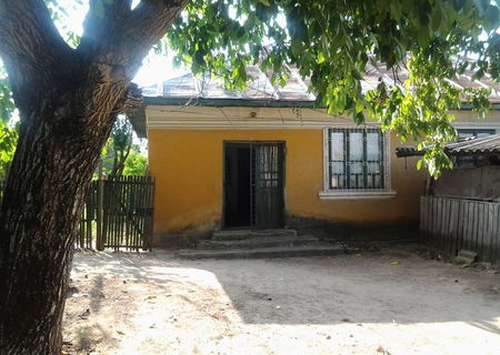 Casa comuna Sadova Sat Raieti la 45 km  de Craiova