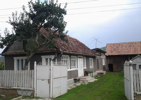 Casa cu gradina