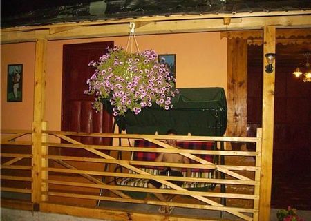 Casa cu gradina in Brosteni