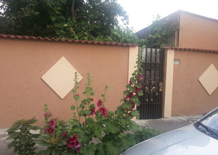 casa curte proprietar