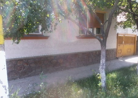 Casa de vanzare in MARGHITA