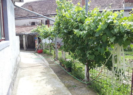 Casa de vanzare in Sighisoara