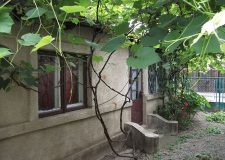 Casa de vanzare in zona centrala Casa de vanzare in zona centrala
