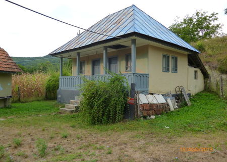 Casa doua camere si teren de 5000 metri, Runcu- jud. Valcea Casa doua camere si teren de 5000 metri, Runcu- jud. Valcea