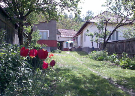 casa-doua corpuri si teren in com. Agas-Bacau